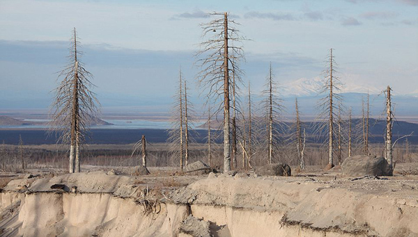 俄罗斯勘察加半岛上的舍维留奇火山和克柳切夫斯卡娅火山喷发的壮美场景
