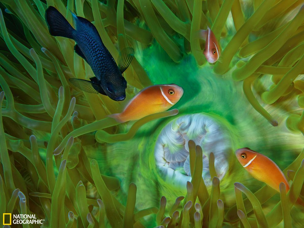 ����լ������ۺ캣�����ں����Ĵ��ּ��ζ�