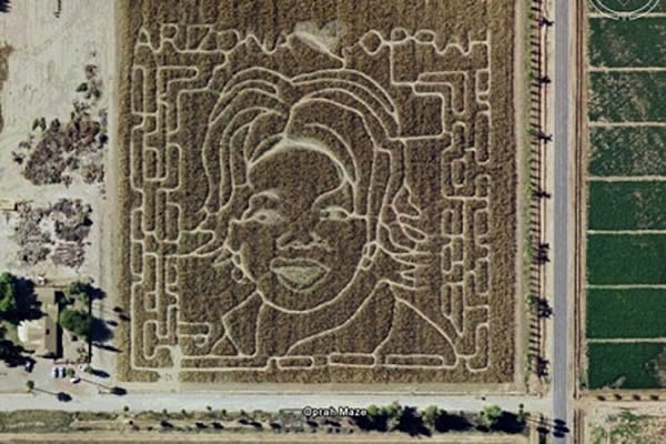 ׯ�ڵؾ��ְ��������¸����������������ˣ�