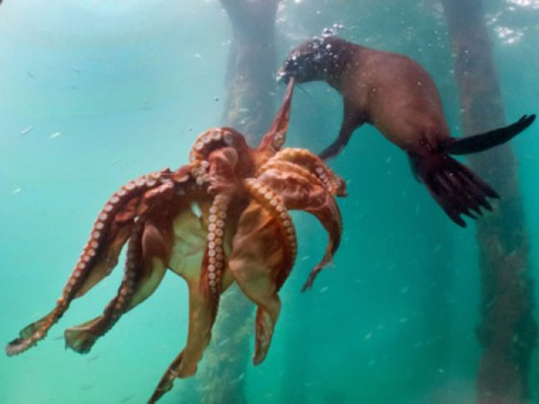 �Ĵ�����Ī���ٰ뵺������ʳ�����~