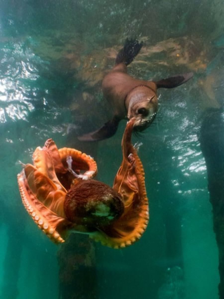 �Ĵ�����Ī���ٰ뵺������ʳ�����~