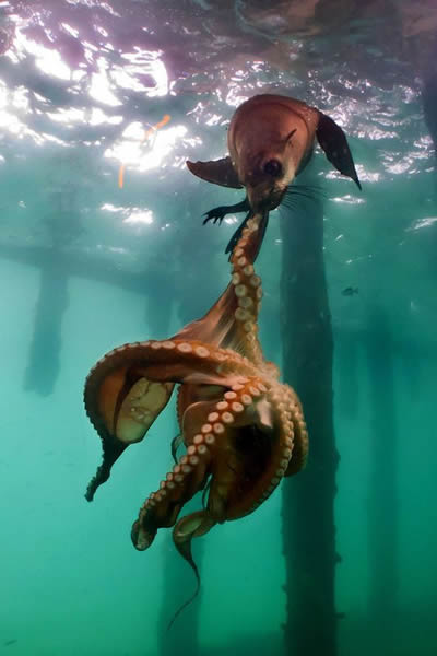 �Ĵ�����Ī���ٰ뵺������ʳ�����~