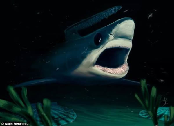 оԱΪ·ֵݻʯڽ2.52ǰʷǰҴִ¼ʱ80%ʧоʾʷǰݽСж