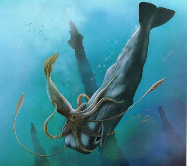 Debate over the possible existence of an ancient kraken (shown fighting a sperm