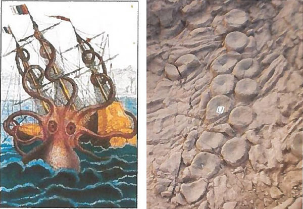 The kraken is a gigantic octopus of legend (left) shown in a 1801 drawing by Pie