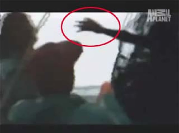 �¹��洬�������㣿