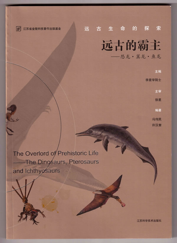 ��Զ�ŵİ�������������������������