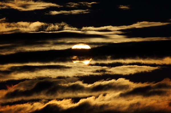 ������ۡ�ȫ��ʳ�����������������ȫ��ʳ��ʳ����Ҫ��Խ�зǵ���������ҡ�ͬ����ʳ����һ���ֵ����ɼ�ȫʳ����һ���ֵ����ɼ���ʳ�����ȫ��ʳ��Ҳ�ơ����ʳ��������