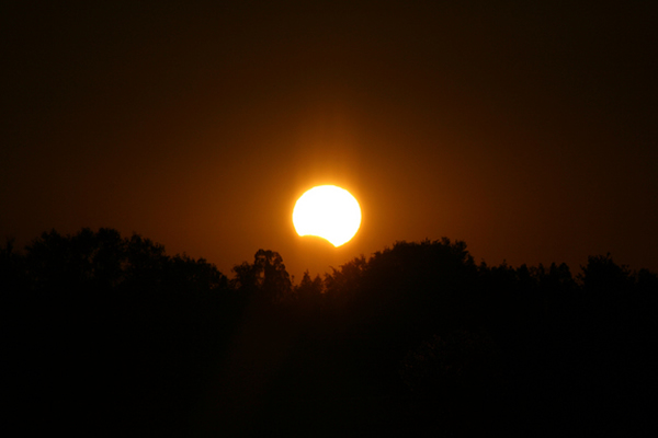 �ڴ����������ͷ��޴�½�󲿷ֵ���������׳�۵ġ���ȫ��ʳ������������ʳ�ǳ��������´η�������2023�ꡣ