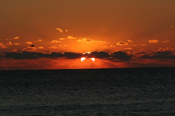 ������ۡ�ȫ��ʳ�����������������ȫ��ʳ��ʳ����Ҫ��Խ�зǵ���������ҡ����˽⣬21����һ������7��ȫ��ʳ����һ�η�����2005��4��8�գ���һ�η�������20