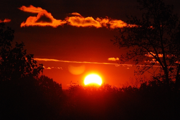 ������ۡ�ȫ��ʳ�����������������ȫ��ʳ��ʳ����Ҫ��Խ�зǵ���������ҡ�ͬ����ʳ����һ���ֵ����ɼ�ȫʳ����һ���ֵ����ɼ���ʳ�����ȫ��ʳ��Ҳ�ơ����ʳ��������