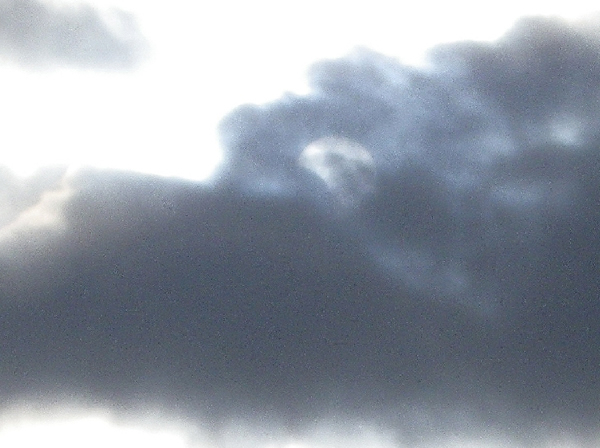 ������ۡ�ȫ��ʳ�����������������ȫ��ʳ��ʳ����Ҫ��Խ�зǵ���������ҡ�ͬ����ʳ����һ���ֵ����ɼ�ȫʳ����һ���ֵ����ɼ���ʳ�����ȫ��ʳ��Ҳ�ơ����ʳ��������