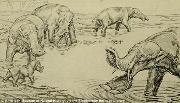 ������ʹ������صĵڶ������ݿ��и��Ӳֲ�֮��ʹ����Ƿ������