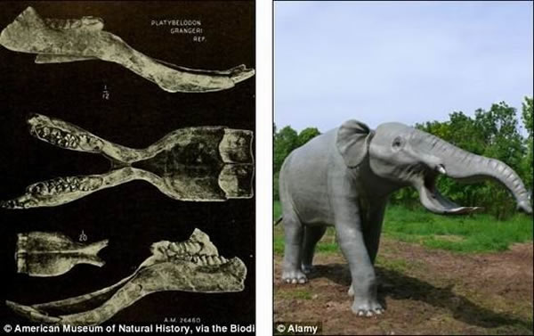 ͼ���ǲ�������ݻ�ʯ��ͼ���ǲ�����ģ��