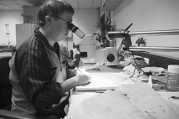 ������Ա�����޸���ʯ