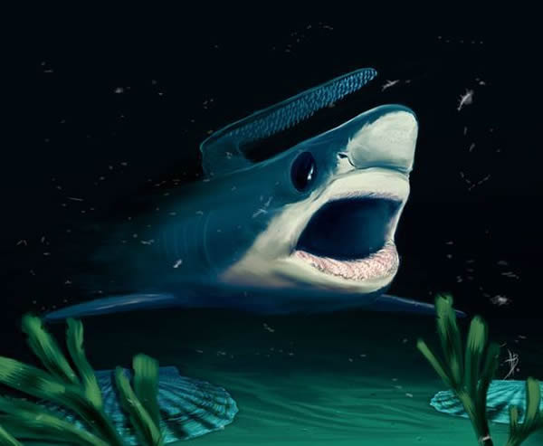 һͷϷй״ͻĹ㣬пܶ˴¼˿ʱ