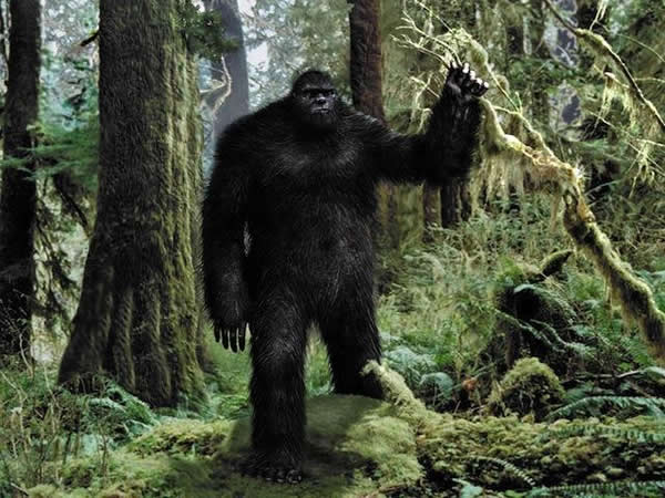 ��˵�еĴ�Ź�