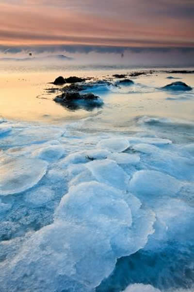 最新研究暗示地球生命开始于冰