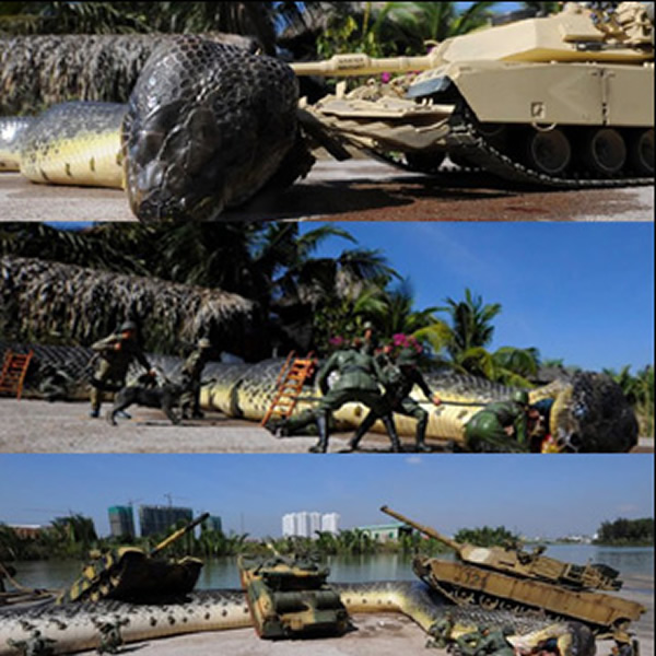 越南军队捕获致命大蛇?