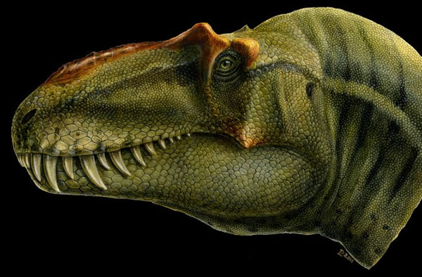 Toothy Dino Terrorized Utah Before T. Rex