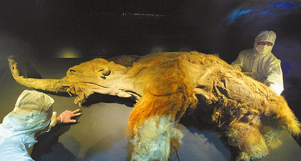 ëYUKAźտ䣬δ15䶳չʾ