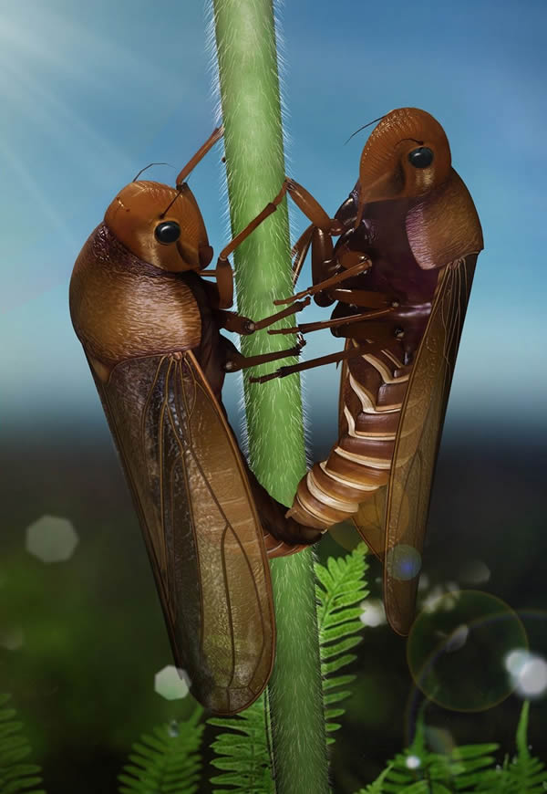 ������ݳ�ץ��һ��С��֦����ô�������������Ľ��䡣