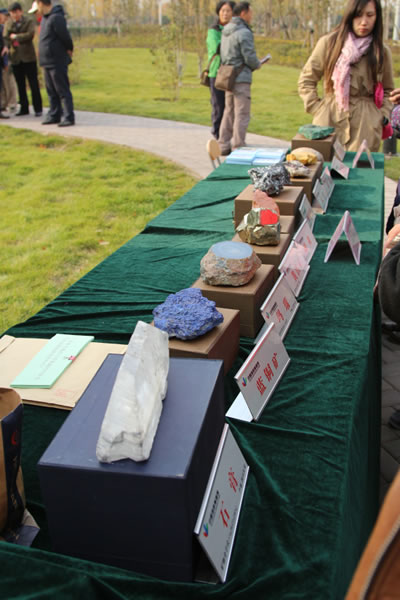 �й�����ѧ�������ѯ��ڱ���԰��԰����