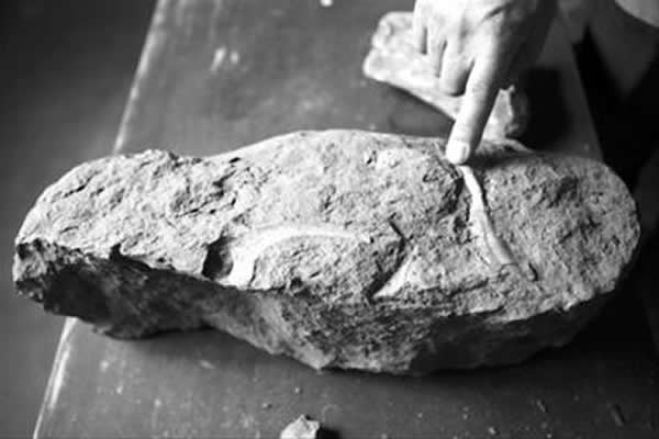 ԭʼ�Ŀ�����ʯ��1980�����Ұ������ʦһ�������»��ɻ����ġ��������޸��ĵ�һ��������Ҫһ���ѹ�ͷ��ʯͷ���������