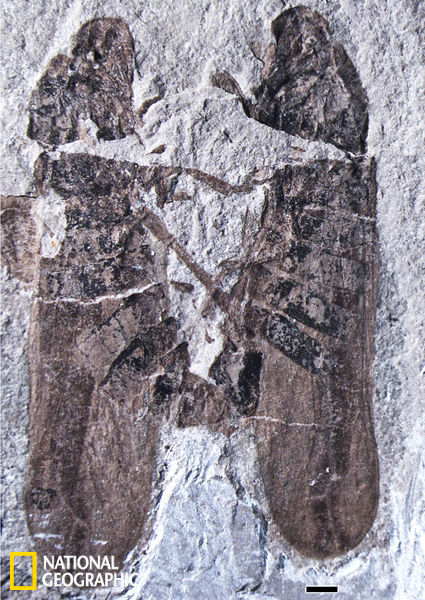 ĭ����ʯ�걾����ģ����(��)����ģ����(��)