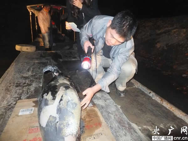 ��ͥ��������¹��ˮ����һͷ�������Խ���