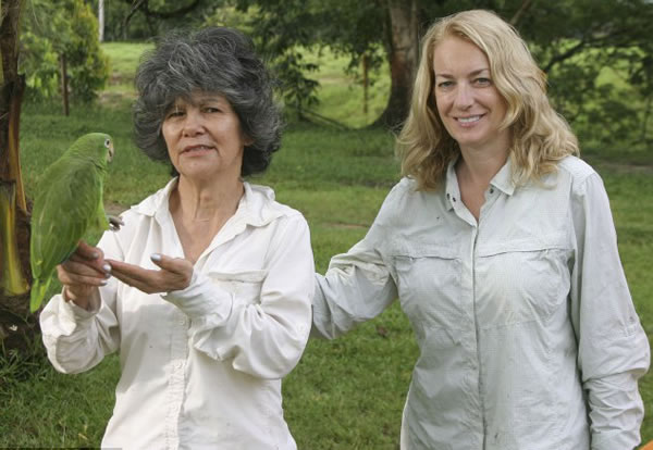 �������ҵ���Ƶ��̽��Ӣ�������ޡ�