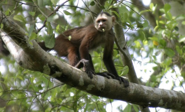 �������ҵ���Ƶ��̽��Ӣ�������ޡ�