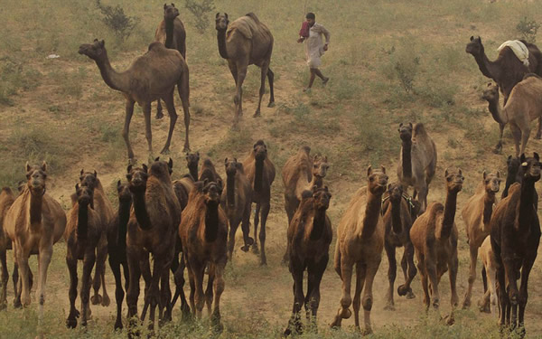 �������������ս��׻ᡪ��һ��һ�ȵ�ӡ����ʲ�����ս�