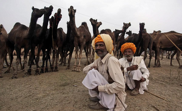 �������������ս��׻ᡪ��һ��һ�ȵ�ӡ����ʲ�����ս�