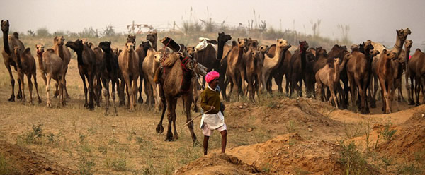 �������������ս��׻ᡪ��һ��һ�ȵ�ӡ����ʲ�����ս�