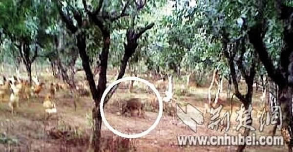 ����һ��԰�Ұ����û