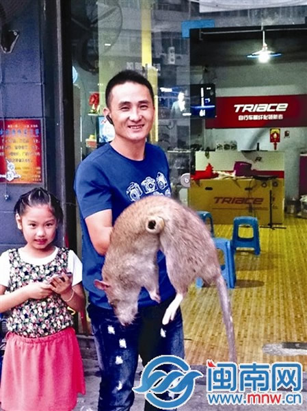 ��������һֻ��èһ����Ĵ�����