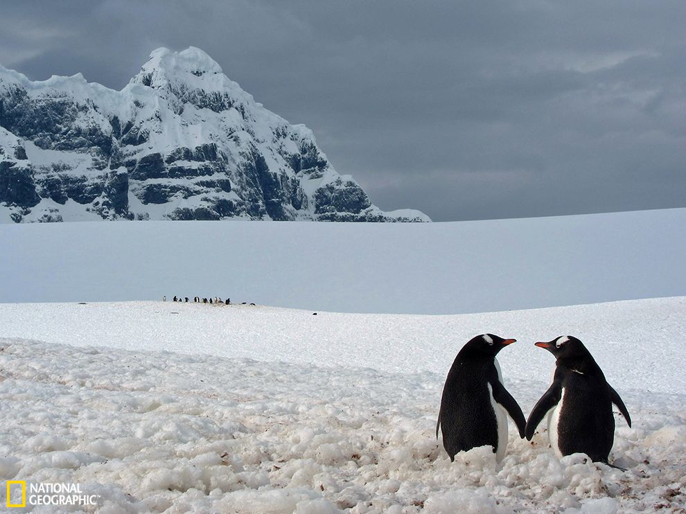 �ϼ��޵����ǣ��