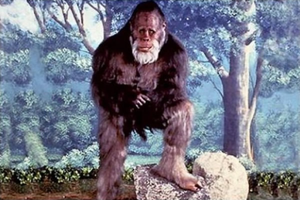 ���ݶ��������ϵ�н�Ŀ��Ѱ�Ҵ�Ź֡���ʾ���ҵ���ŹֵĹؼ�֤��������