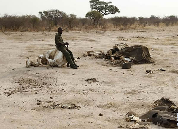 �����ڱ�������ɱ�Ĺ���������ȷʵ�ܵ�������