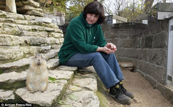 ���������Ѹ����Ĺ���Ա˹���׿˴����˸����鷳����Ϊÿ�ζ������������һء�