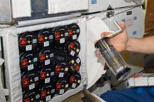 宇航员可能需要应对新的敌人:太空细菌