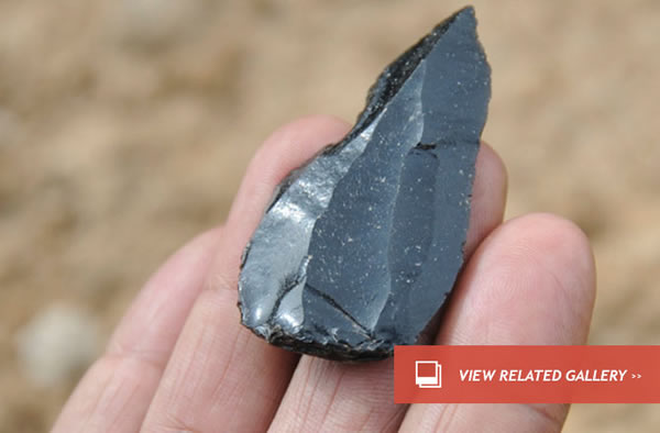 Who Was Throwing Spears Before Humans?