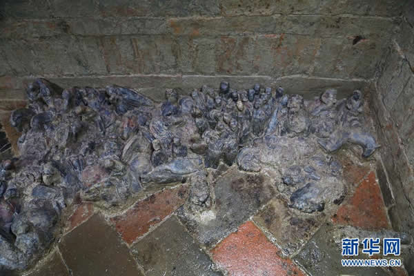 ����ȷ�Ϸ�����쾵�Ĺ