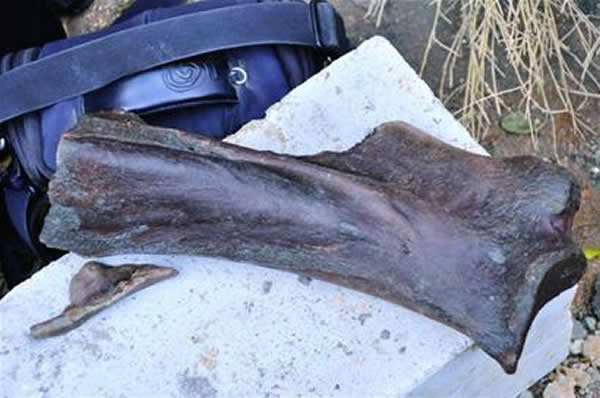 青岛大珠山旧石器遗址野外发掘工作结束