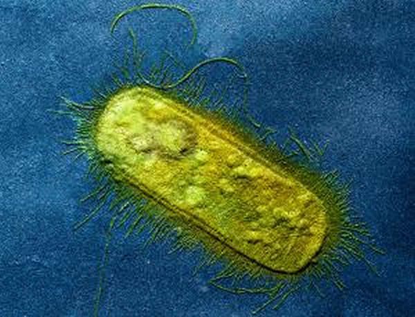 �����������û��ʲô��������