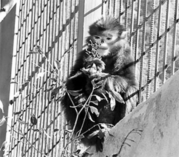 �й��״λ��ŭ����˿���������