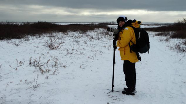 以色列女摄影师在加拿大近距离拍摄北极熊