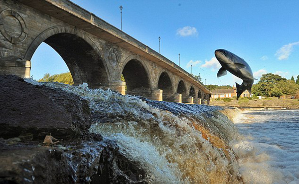 Ӣ����Ⱦ�����صĺ���̩�������ڳ�����������