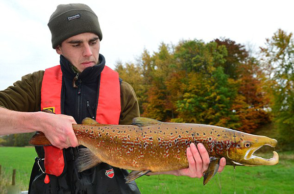 Ӣ����Ⱦ�����صĺ���̩�������ڳ�����������